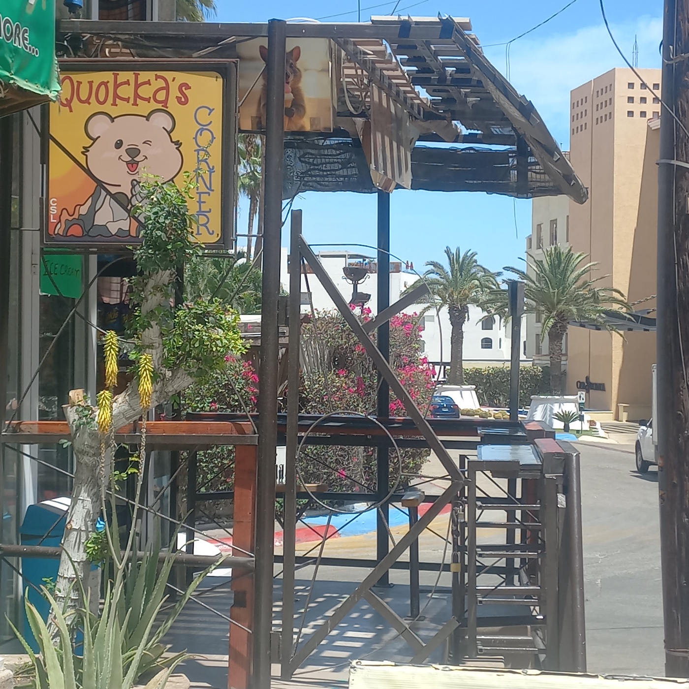 Entrada del local Quokka's Corner en El Médano